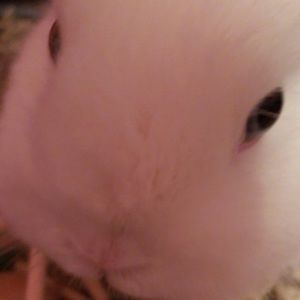 Meet your Posher, Bailee